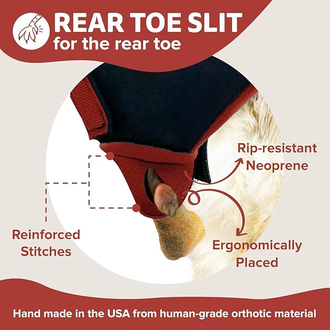 Chicken Shoes for Injured Feet – Protective Neoprene Footwear for Chicken, Open-Toe Design for Bumblefoot Relief, Made in USA (Chicken Shoes, Red, Medium Chickens)