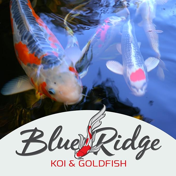 Blue Ridge Koi Fish Food 50lb - Cool Water Wheat 3/16", Fall and Winter Floating Pond Pellets, Ponds Fish Food