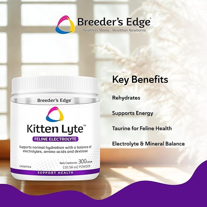 Breeder’s Edge Kitten Lyte, Electrolyte Supplement for Kittens and Nursing Cats, Supports Hydration, Energy & Recovery, Chicken Soup Flavor, 300g