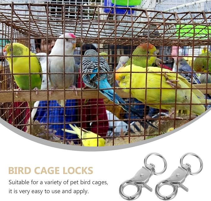5pcs Birdcage Lock Metal Snaps Door Chain Lock Heavy Duty Birds Cage Metal Clip Spring Hook Bird Cage Door Bird Accessories Stainless Steel Fly Rope Parrot to Rotate