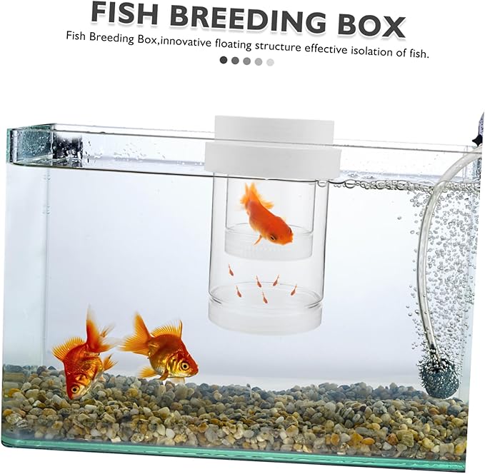 1 Set Floating Fish Breeding Box Transparent Isolation Incubator for Guppy Betta Shrimp Secure Fry Environment with Automatic Water Level for Aquariums