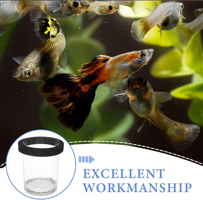 Floating Fish Breeder Box with Transparent Cover Aquarium Breeding Container for Guppies Protects Newborn Fry from Predators Improves Survival Rate for Fish Tanks
