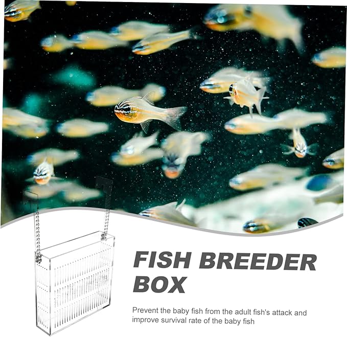 Sturdy Fish Breeding Box Aquarium Betta Tank Separator Acrylic Incubator Box