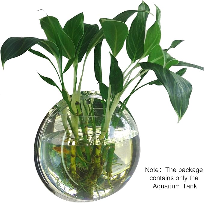 Wall Fish Bowl, Small Hanging Goldfish Fish Tanks, Clear Acrylic Betta Fish Tank, for Aquarium Wall Plant Pot Decoration Planter Flower