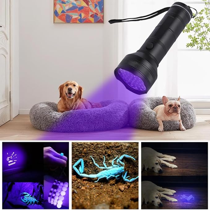 Pocketman UV Flashlight Black Light, 51 LED 395 nm Blacklight, Pet Urine Detector for Dog/Cat Urine, Dry Stains