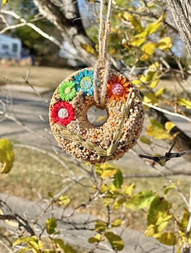 8-Pack Hanging Bird Seed Ornaments w/ 100% Edible Flowers & Wheat Stalks, Circle Shape, 3 Seed Blends Included, 100% Edible (Safe for Bird Consumption)