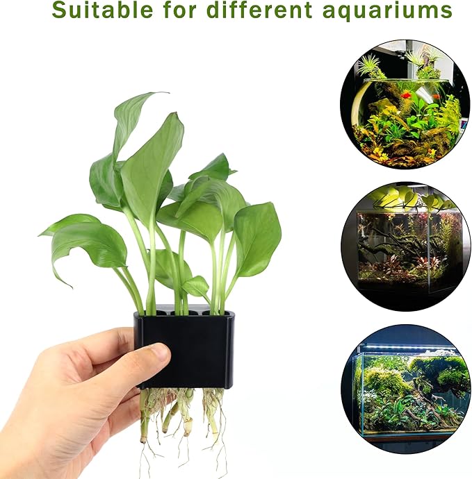 3 Holes Upgraded Aquatic Plant Cup Aquarium Plant Holder for Tank,Aquascape Accessories Decorations- Black 2 Pcs