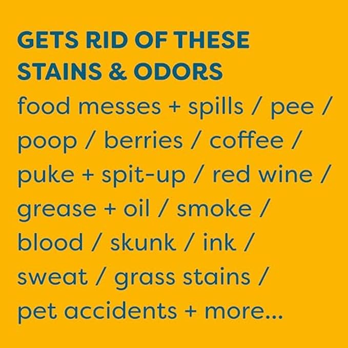 KIDS 'N' PETS Instant All-Purpose Stain & Odor Remover Permanently Eliminates Dog Pee, Cat Urine, Other Smells, Spots from Home Carpet, Couch, Furniture, Mattress, Fabric. Non-Toxic, Child Safe - 32oz