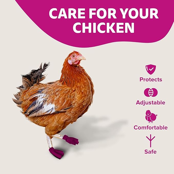 Chicken Shoes for Injured Feet – Protective Neoprene Footwear for Chicken, Open-Toe Design for Bumblefoot Relief, Made in USA (Chicken Shoes, Pink, Medium Chickens)