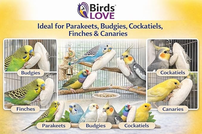 Birds LOVE 3.5-4″ Cuttlebones for Birds – 100% Natural Sun-Dried Calcium & Beak Conditioning Supplement for Parakeets, Budgies, Cockatiels, Finches & Canaries – 2 Pack with Holder – Made in Vietnam