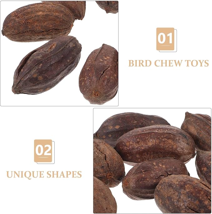 8pcs Natural Dried Fruit Bird Chew for Parakeet Cockatiel Birds Safe Biting Treats for Shredding and Foraging Fun