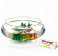 Kisangel Transparent Landscape Fish Tank 9.53 Inch Shallow Aquarium Clear Plastic Desktop Fish Bowl for Goldfish Turtles Home Office Decor