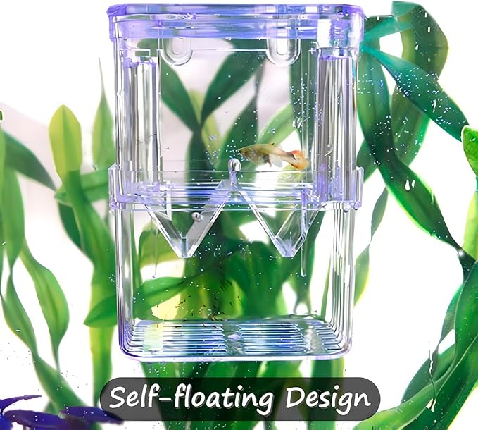 Petzilla in-Tank Aquarium Breeder Box for Fish Tank, Breeding Incubator for Small Fish Hatchery, Acrylic Divider for Shrimp Clownfish Aggressive Injured Fish (Small)