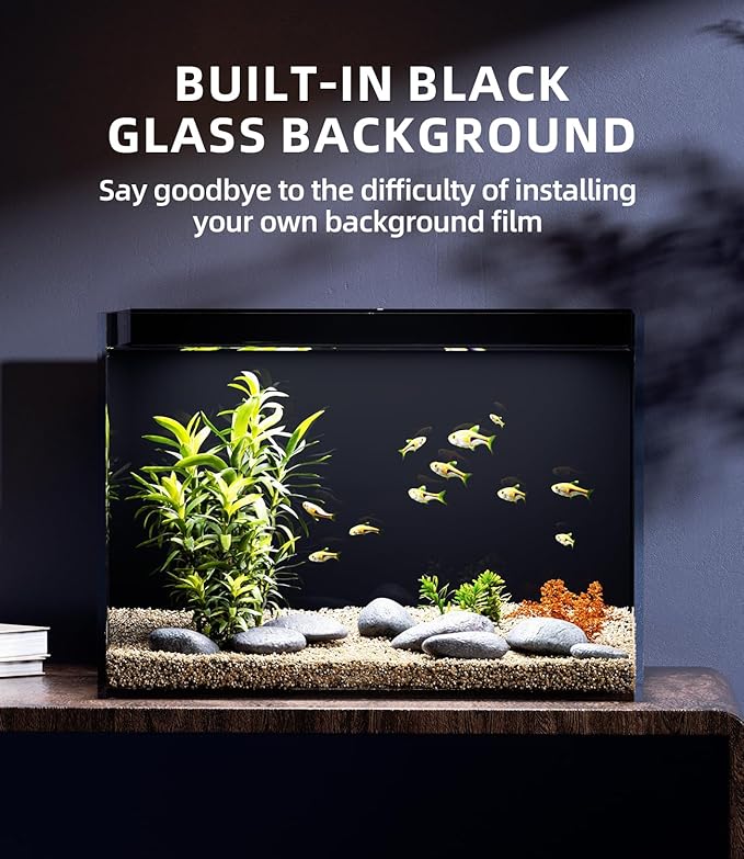 5 Gallon Glass Fish Tank Ultra Clear Rimless Aquarium, Built-in Black Background Rectangular Tank