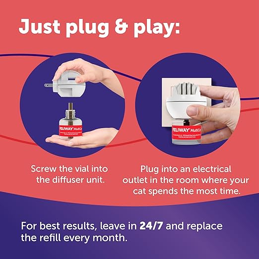FELIWAY MultiCat 30 Day Cat Calming Plug in Pheromone Diffuser Starter Kit,48ml - Helps Reduce Conflicts and Signs of Tension in Multi-Cat Households,(Pack of 2)