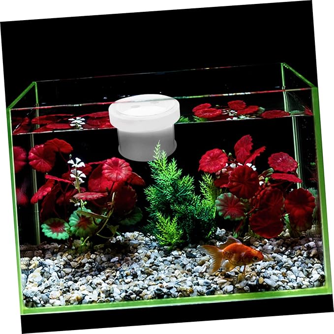 Happyyami Floating Fish Separator Box for Tank Guppy Breeding Box Removable Cover Acrylic Specimen Containers