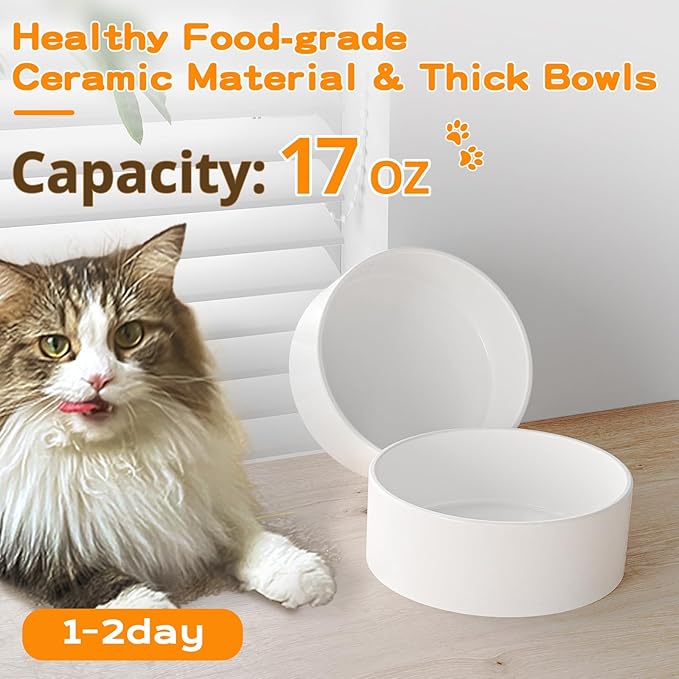 Oneluck Elevated Cat Bowl, Raised Ceramic Dish, 100% Waterproof Cat and Dog Bowls, 15° Tilted Raised Stand Slip Resistant Raised Edges, Catch Water, Food Mess, No Spills
