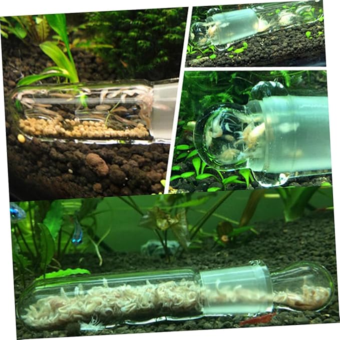 DOITOOL 2hole Aquarium Glass Turbellarian Catcher Glass Worm Trap for Easy Catching Aquarium Accessory for Maintaining Healthy Fish Tank