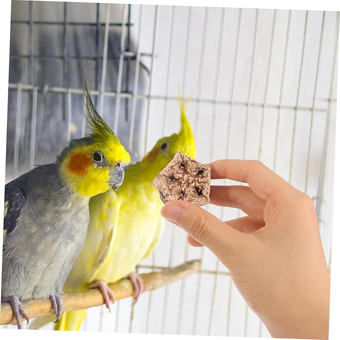 12pcs Natural Bird Chewing for Parrots Budgies Macaws Healthy Foraging Shredding Blocks to Reduce Boredom and Destructive Behavior Natural Material Pet Companion