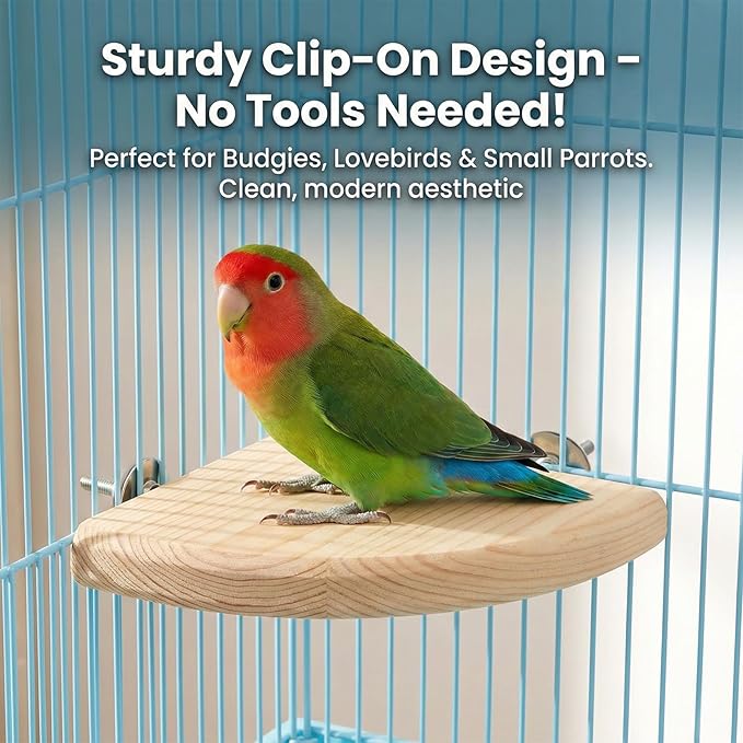 2 Pcs Bird Perch Platform Perch Birds Cages Accessories Flat Fan Shape Bird for Parakeet Conure Cockatiel Budgie Rat Chinchilla Gerbil Hamster (2 Size)