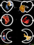 CAIJ 6Pcs Betta Exercise Ring with Suction-Cup, Betta Exercise Ring, Fish Feeding Ring, Aquarium Accessories, Betta Fish Enrichment Toys (Moon & Heart & Round)