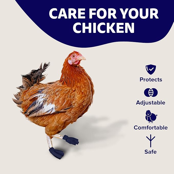 Chicken Shoes for Injured Feet – Protective Neoprene Footwear for Chicken, Open-Toe Design for Bumblefoot Relief, Made in USA - Large, 4" Max. Inside Width, Navy