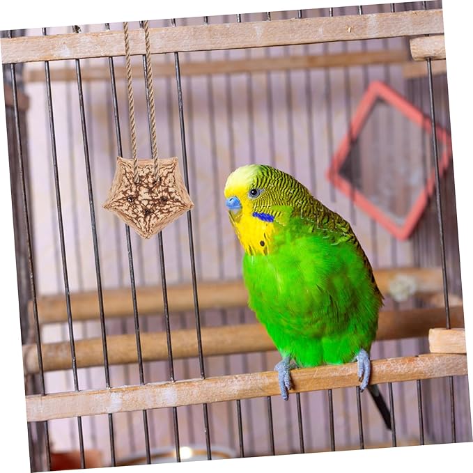 12pcs Parrot Beak Fruit Chewing Treats Bird Toys for Parrots Foraging Toy for Conure