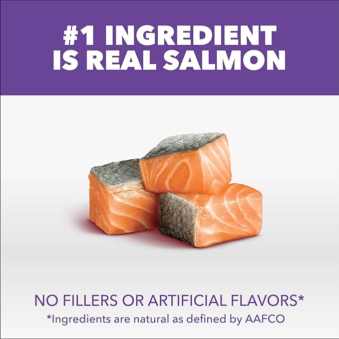 IAMS Proactive Health Healthy Kitten Dry Cat Food Salmon Recipe, 3.5 lb. Bag