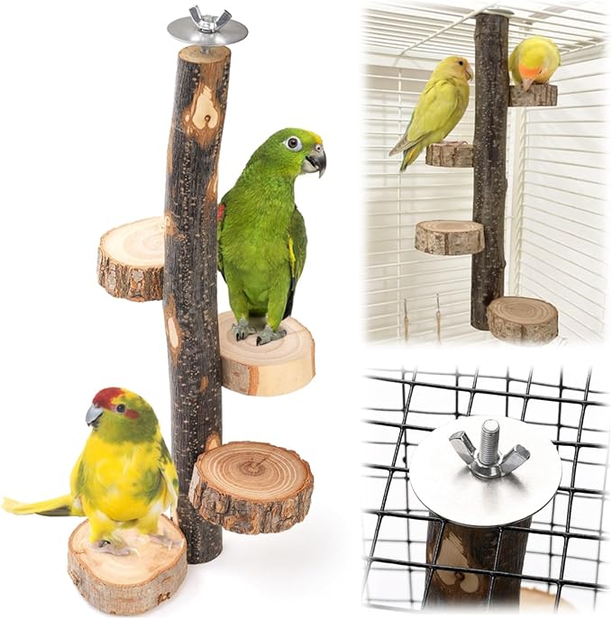 Natural Wood Bird Perch, 12 Inch Parrot Perch Stand for Cage, Small Animals Hanging Perch & Platforms for Parakeet Parrots Cockatiel, Conure, Budgie, Macaw, Bird Cage Accessories