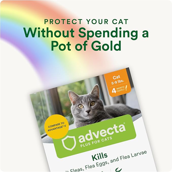 Advecta Plus Topical Flea Treatment for Cats and Kittens, Flea Prevention and Control, Small & Large, Fast-Acting Waterproof Drops, 6-Month Supply