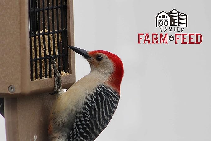 | Four Seasons | Suet Cake | Wild Bird Food | Backyard Songbird | 2 Cakes