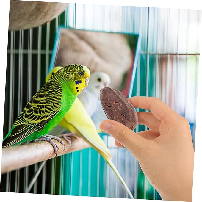 8pcs Dried Fruit Bird Toys for Parrots Foraging Chewing Toys for Birds Parrot Accessories Natural Shredding Treats