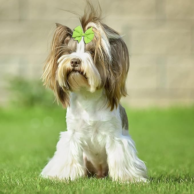 2.5 Inch Small Dogs Hair Barrettes Bows with Rubber Bands,Hair Accessories Bow Pet Grooming Cute Pet Small Hair Bowkno (Style D40pcs)