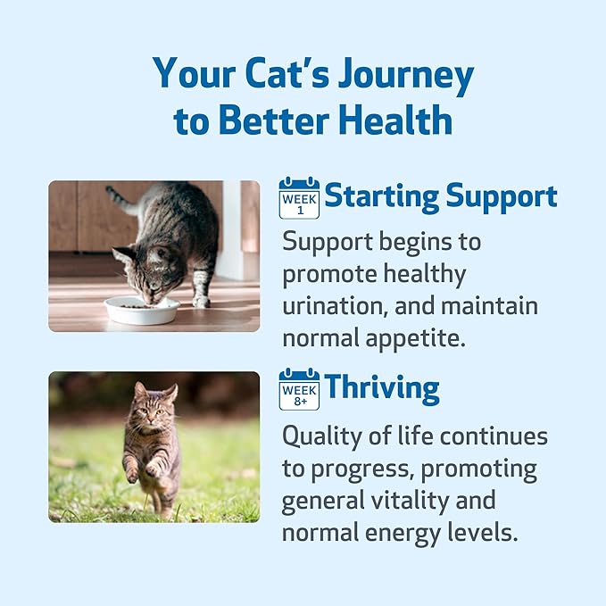 Pet Wellbeing Kidney Support Gold for Cats - Supports Normal Kidney Function & Detox, Healthy Hydration & Energy with Rehmannia & Dong Quai - NASC Certified & Vet-Formulated - 4 oz Liquid Formula