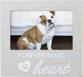 Pearhead Pet Forever In My Heart Memorial Keepsake Picture Frame - Keepsake for Dogs and Cats, Home Decor or Sympathy Gift for Pet Lovers, Heart & Paw Print Design, 4x6 Photo Insert, Gray