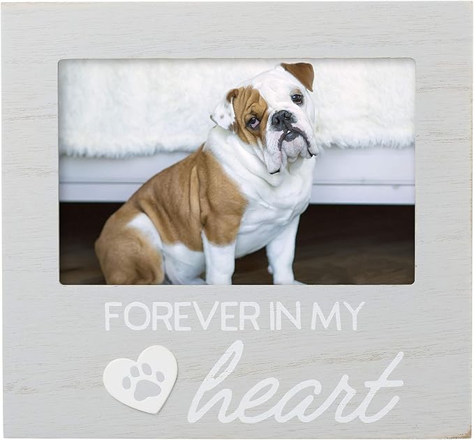 Pearhead Pet Forever In My Heart Memorial Keepsake Picture Frame - Keepsake for Dogs and Cats, Home Decor or Sympathy Gift for Pet Lovers, Heart & Paw Print Design, 4x6 Photo Insert, Gray