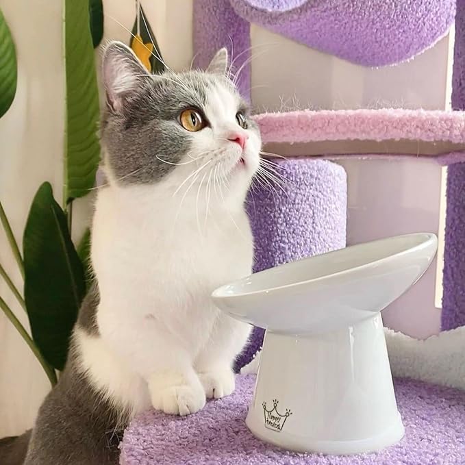 Necoichi Raised Cat Food Bowl – Ceramic Elevated 15° Tilted Cat Bowl for Whisker & Neck Fatigue, Dishwasher Microwave Safe Non-Slip Anti Vomiting Ergonomic Design (Extra Wide Tilted, 1.5-Cup Capacity)