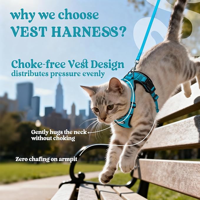 rabbitgoo Cat Harness and Leash for Walking, Escape Proof Soft Adjustable Vest Harnesses for Cats, Easy Control Breathable Reflective Strips Jacket, Teal, XS