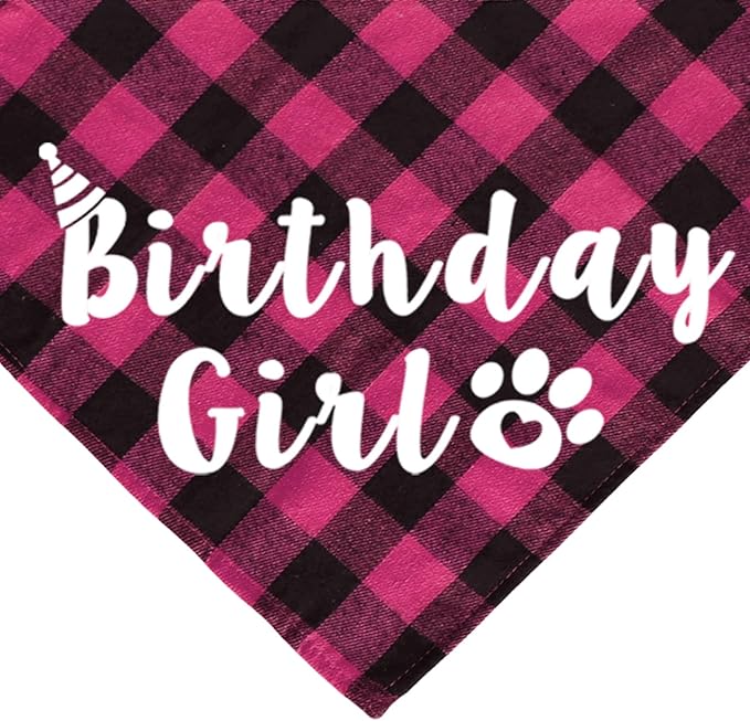 Cat Birthday Party Supplies - Cat Outfits Kitten Bandanas with Hat, Crown, Bow Tie, Number for Kitten Decorations (Rose)