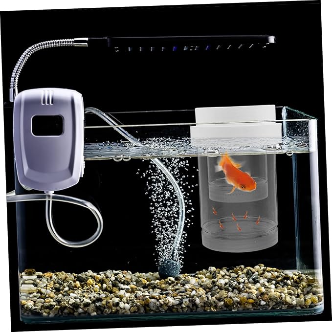 UPKOCH 1 Set Fish Breeding Box: Floating Fish Isolation Box for Aquarium - Breeding and Hatching Incubator for Clownfish Guppy Betta Shrimp