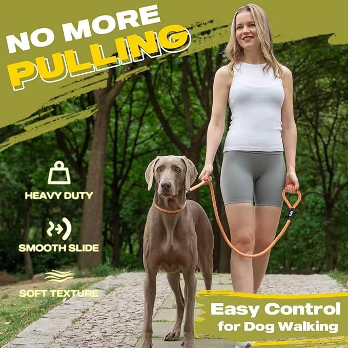 Fida Durable Slip Lead Dog Leash, 6 FT x 3/8" Heavy Duty Dog Loop Leash, Comfortable Strong Rope Slip Leash for Small Dogs and Puppies, No Pull Pet Training Leash with Highly Reflective (3/8", Orange)