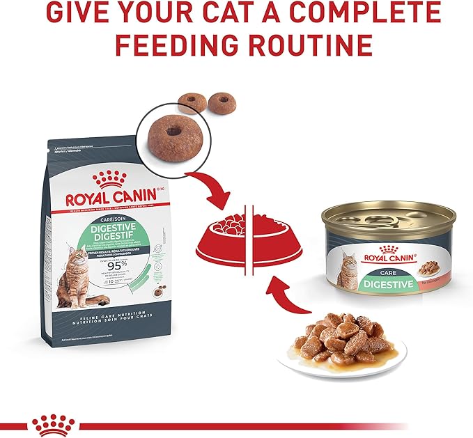 Royal Canin Feline Care Nutrition Digestive Care Adult Thin Slices in Gravy Cat Food, 3 oz (Pack of 24)