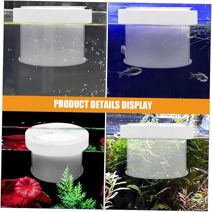 Acrylic Fish Isolation Box for Shrimp and Fry Breeding Separator Tank for Freshwater and Aquariums Easy to Observe and Install Breeding Container