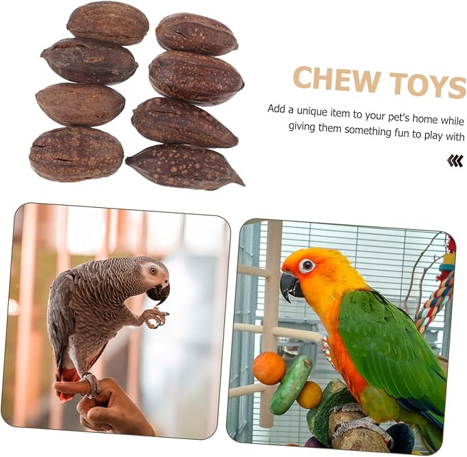 8pcs Parrot Foraging Toy Natural Dried Fruit Chewing Toys Bird for Cage Parrot Chewing Bird Bite
