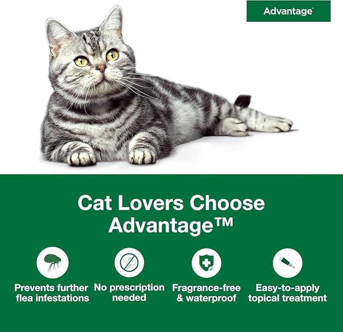 Bundle of Advantage Topical Cat Flea Treatment and Prevention for Large Cats Over 9 lbs. + Advantage Carpet & Upholstery Spot Spray 16 oz.