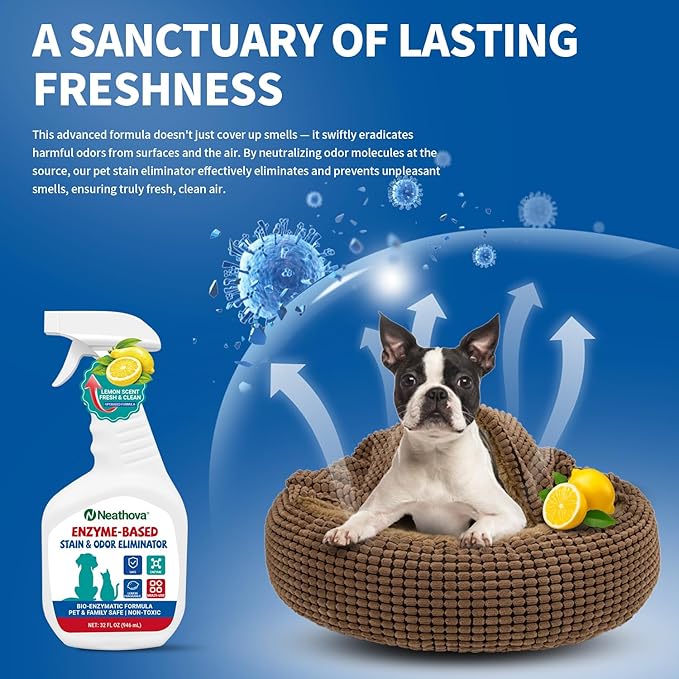 Stain & Strong Odor Eliminator, Enzyme Cleaner, Pet Odor Eliminator for Home - Carpet Stain Remover for Cats & Dog Pee - Urine Destroyer - Carpet Cleaner Spray Clear (Lemon)