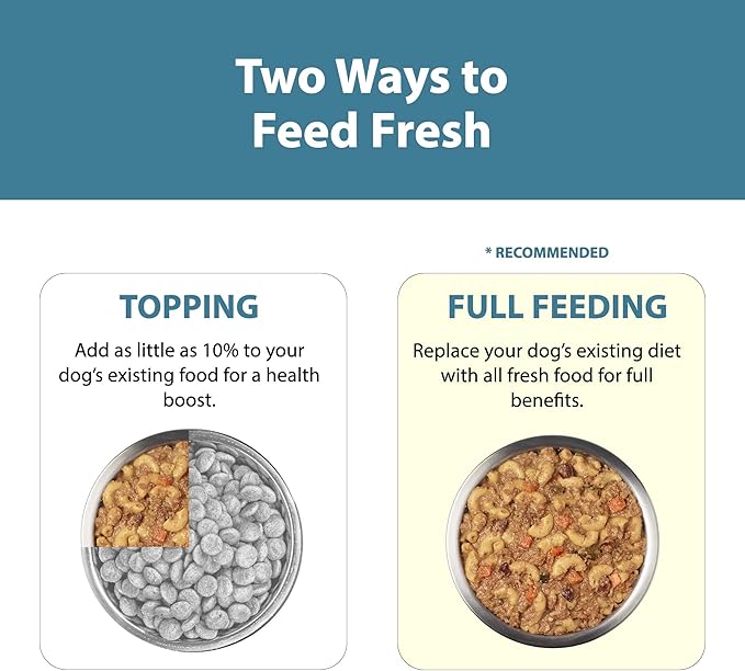 JustFoodForDogs Pantry Fresh Wet Dog Food, Complete Meal or Dog Food Topper, Turkey & Whole Wheat Macaroni Human Grade Dog Food Recipe - 12.5 oz (Pack of 6)