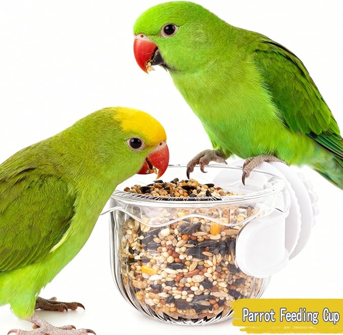 Parrot Feeder Set - 2-Piece Hanging Parrot Feeder for Bird Cages, Suitable for Cockatiels, Lovebirds, Macaws, and Other Pet Birds (Green)