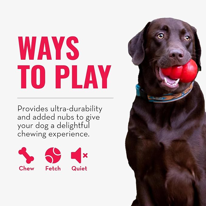 KONG Ring - Natural Rubber Ring Toy for Healthy Chewing Habits - Chew Toy Supports Dog Dental Health - Dog Toy Supports Instincts During Playtime - for Medium/Large Dogs
