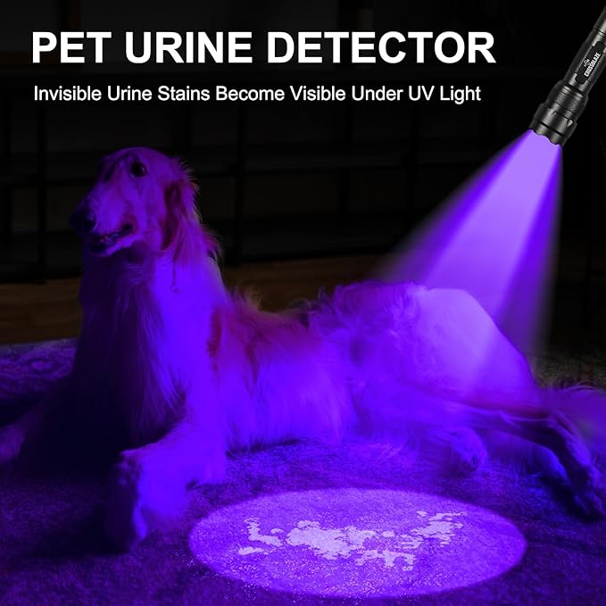UV Flashlight, 395-405nm Zoomable UV Curing Light, Black Light for Pet Urine Detection,Hotel and Leak Detection